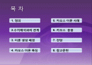 수치해석 카오스이론 2페이지