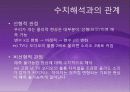 수치해석 카오스이론 5페이지