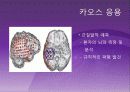 수치해석 카오스이론 15페이지