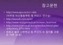 수치해석 카오스이론 18페이지