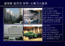 열병합발전 2차 발표 13페이지