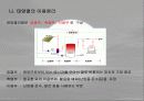 태양열 에너지 발표 4페이지