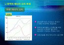 한국의 에너지 소비 추세 및 전망 발표 13페이지