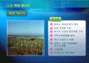 한국의 에너지 소비 추세 및 전망 발표 21페이지