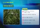 한국의 에너지 소비 추세 및 전망 발표 23페이지
