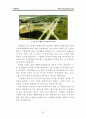 생태도시(ecological polis)에 대하여 12페이지
