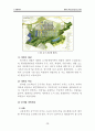 생태도시(ecological polis)에 대하여 13페이지