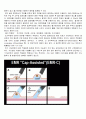 내시경 요법 (진단적 내시경, 치료내시경 전부) 12페이지