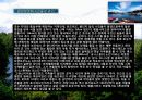 국제관광 - 영국여행[영국의 찾아서] 28페이지