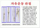 기초의학 - 관절의 형태와 운동방향 4페이지
