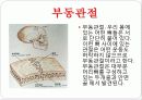 기초의학 - 관절의 형태와 운동방향 12페이지