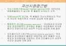환율결정이론 10페이지