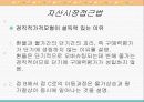환율결정이론 15페이지