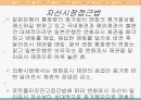 환율결정이론 19페이지