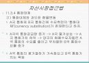 환율결정이론 20페이지