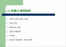 두통에대한 발표레포트 5페이지
