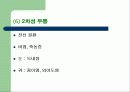 두통에대한 발표레포트 14페이지