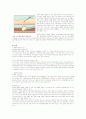 [의약학] 폐결핵 (Pulmonary tuberculosis) 케이스 3페이지