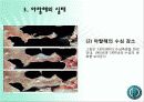 아랄해의 환경재앙 8페이지