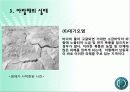 아랄해의 환경재앙 12페이지