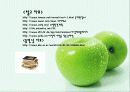 아랄해의 환경재앙 14페이지