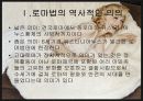 로마법 문화 5페이지