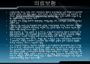 미국 사회복지 PPT 13페이지