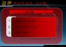 미국 사회복지 PPT 20페이지