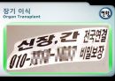 뇌사 및 장기 이식 13페이지