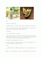 커뮤니케이션 과정을 설명할 수 있는 광고 선택, 커뮤니케이션 과정을 도식화 - ‘스킨푸드’ 4페이지