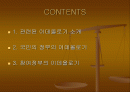 국민의 정부 참여정부 보고서 2페이지