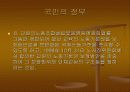 국민의 정부 참여정부 보고서 17페이지