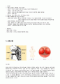 아동Acute Tonsilitis케이스 에이쁠14P 6페이지