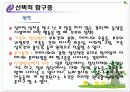 유아·아동·청소년기의 이상행동 16페이지