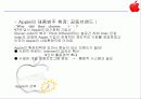 Sony & Apple,소니,애플,브랜드전략.마케팅,브랜드,브랜드마케팅,기업,서비스마케팅,글로벌,경영,시장,사례 15페이지