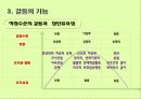 갈등관리 24페이지