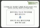 사회적 프로그램의 기획 19페이지