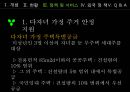 다문화가족  11페이지