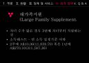 다문화가족  22페이지