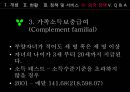 다문화가족  30페이지