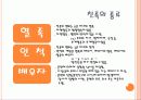 친족관계  4페이지