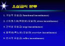 요실금 16페이지