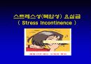 요실금 20페이지