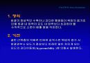 요실금 21페이지