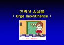 요실금 25페이지