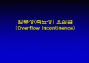 요실금 29페이지