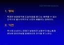 요실금 33페이지