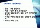 근이완제반전 12페이지