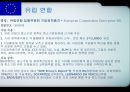 각국의 중소기업 정책 입안과 실시 [유럽연합 집행위원회 기업정책총국][유럽투자펀드] 2페이지