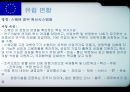 각국의 중소기업 정책 입안과 실시 [유럽연합 집행위원회 기업정책총국][유럽투자펀드] 5페이지